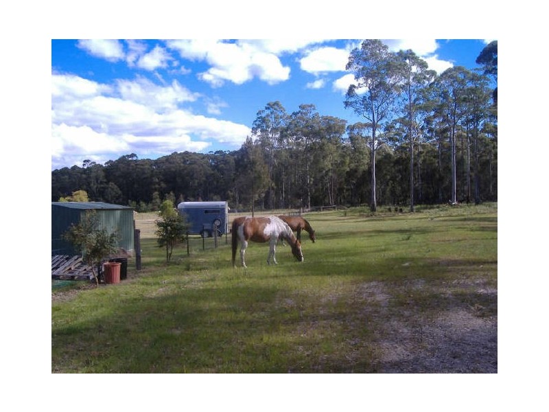 1 Eastern Creek Road, Scamander TAS 7215