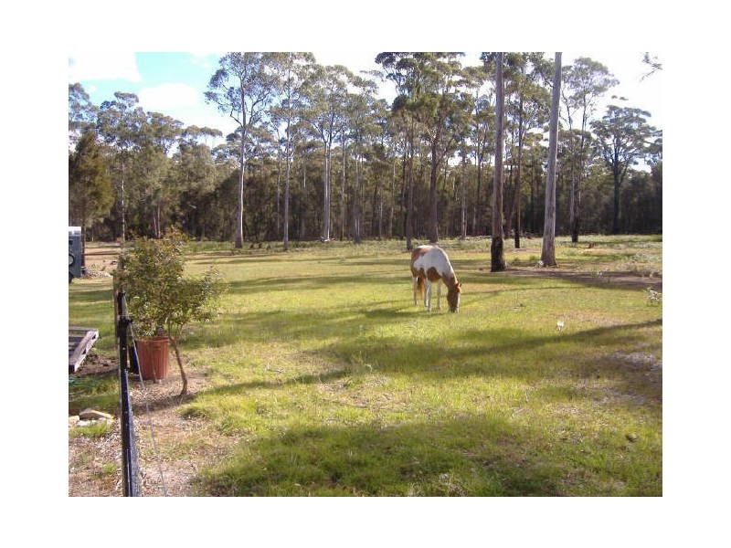 1 Eastern Creek Road, Scamander TAS 7215