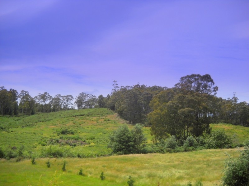 Esk Highway, St Marys TAS 7215