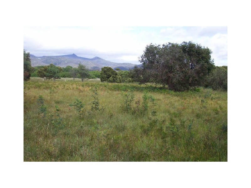 Lot 1 Stieglitz Street, Falmouth TAS 7215