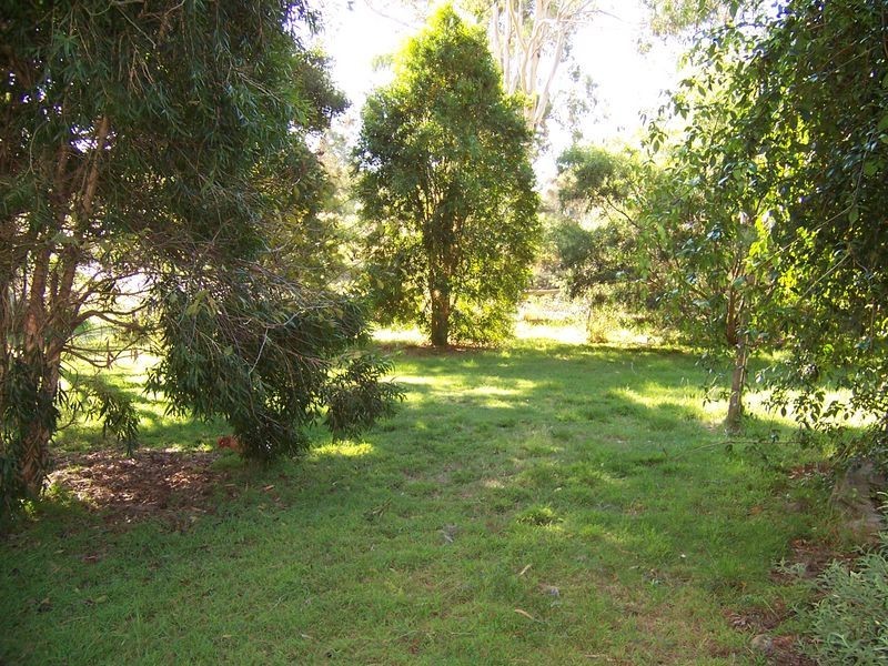 179 Medea Cove Road, St Helens TAS 7216