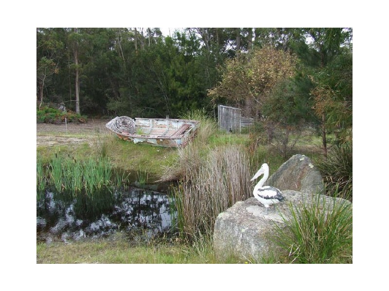 220 Argonaut Road, St Helens TAS 7216