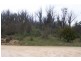 Lot 1 Upper Scamander Road, Scamander TAS 7215