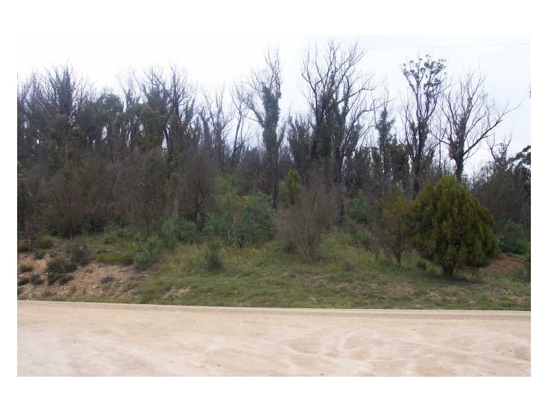 Lot 1 Upper Scamander Road, Scamander TAS 7215