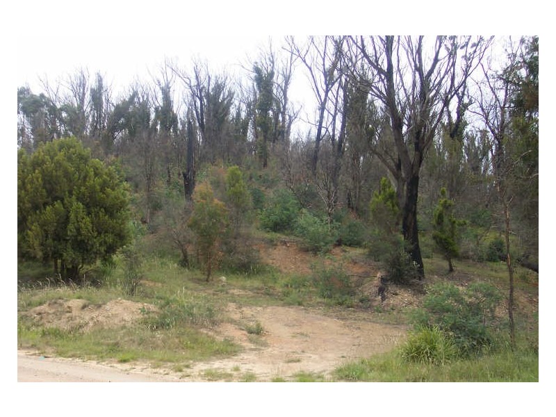Lot 1 Upper Scamander Road, Scamander TAS 7215