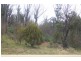 Lot 1 Upper Scamander Road, Scamander TAS 7215
