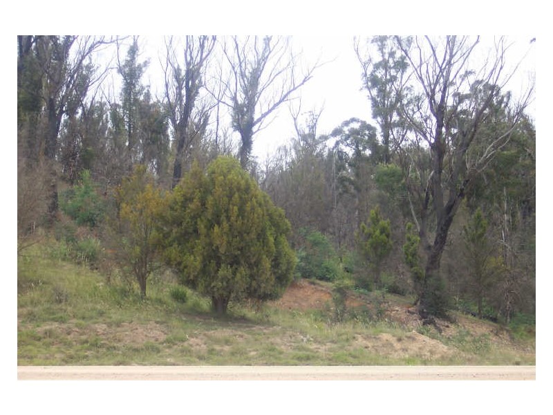 Lot 1 Upper Scamander Road, Scamander TAS 7215