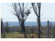 Lot 3 Tasman Highway, Scamander TAS 7215