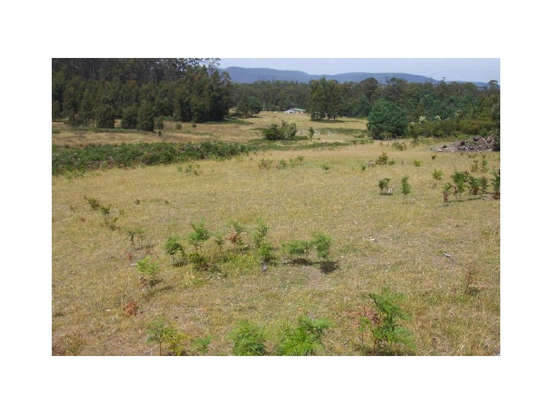Lot 1 Lower Germantown Road, St Marys TAS 7215