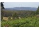 Lot 1 Lower Germantown Road, St Marys TAS 7215