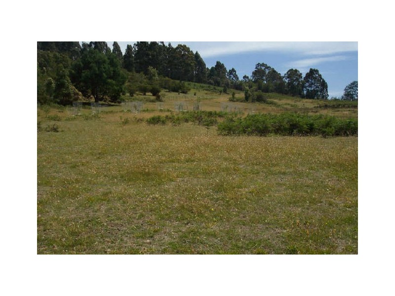 Lot 1 Lower Germantown Road, St Marys TAS 7215