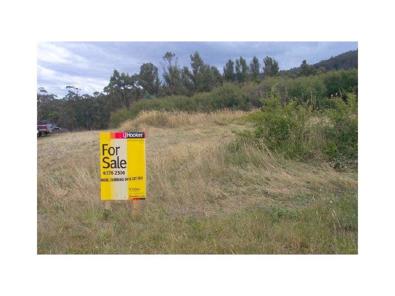 55 Alexander Street, Cornwall TAS 7215