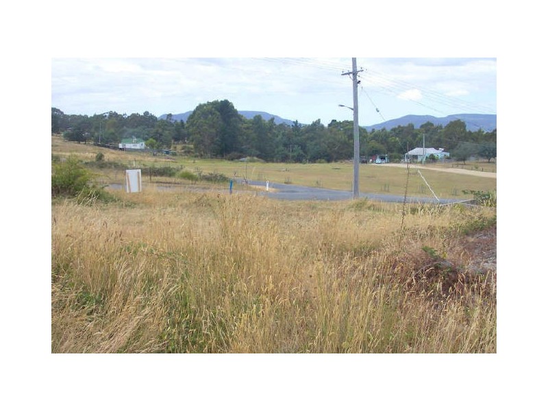 55 Alexander Street, Cornwall TAS 7215