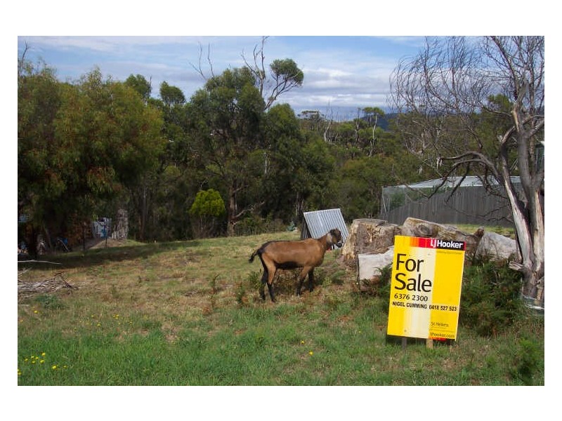 13 Reedy Road, Beaumaris TAS 7215