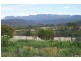4-6 Stieglitz Street, Fingal TAS 7214
