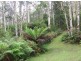 Lottah Road, Lottah TAS 7216