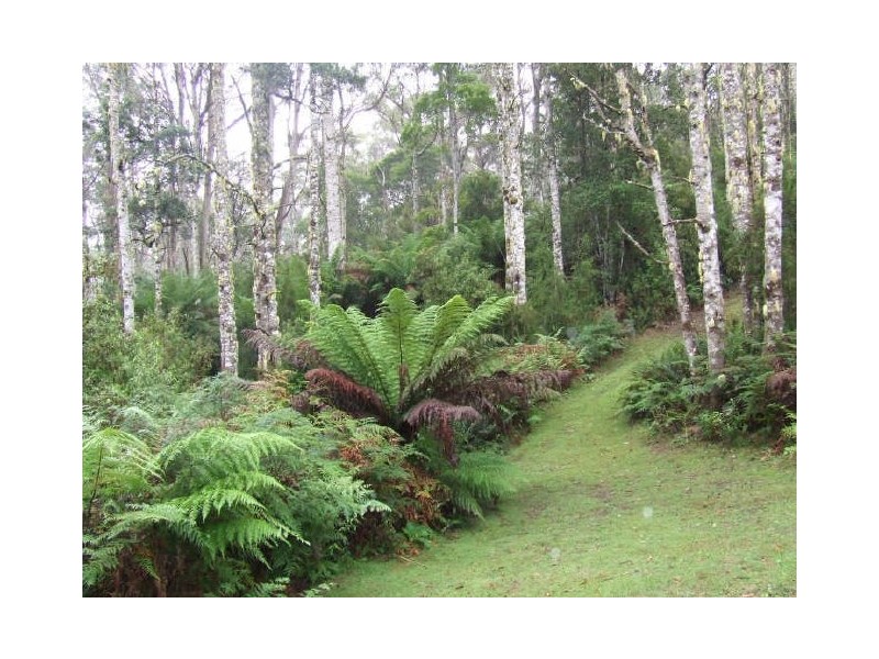 Lottah Road, Lottah TAS 7216