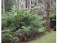 Lottah Road, Lottah TAS 7216