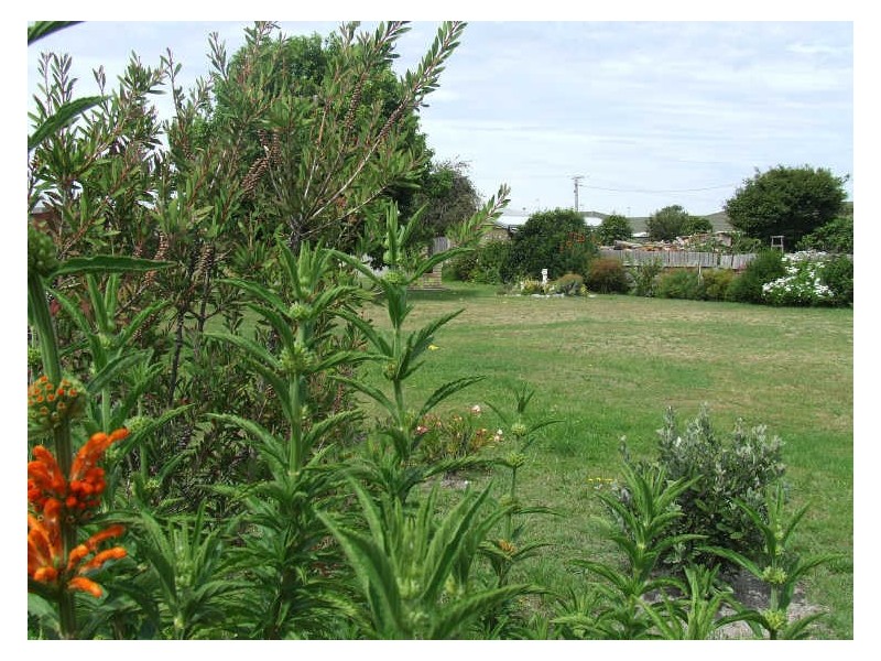 7 Grant Street, St Helens TAS 7216