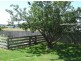 4 Young Street, St Helens TAS 7216