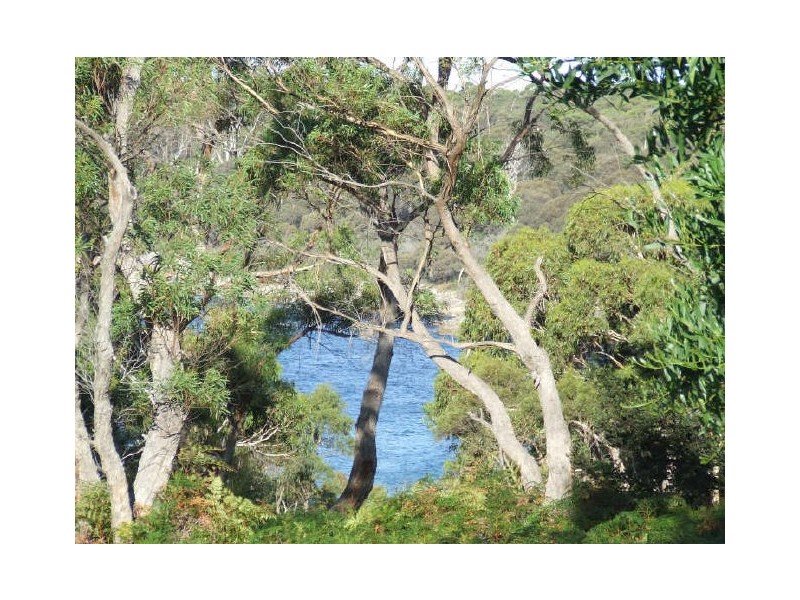 1 Reserve Street, Binalong Bay TAS 7216