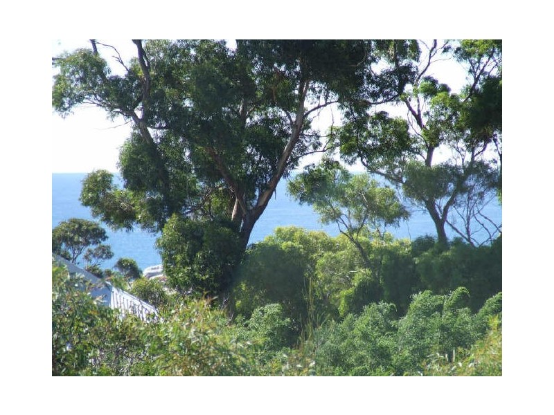 16 Felmingham Street, Binalong Bay TAS 7216