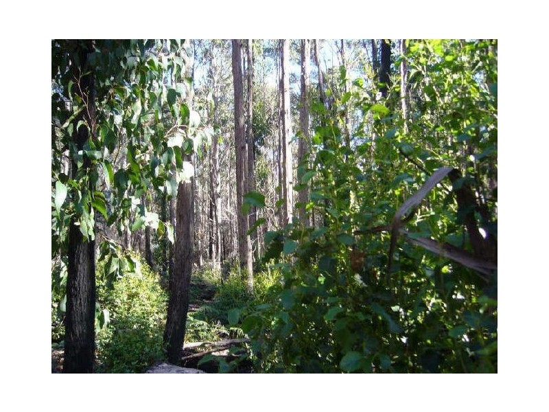 Irishtown Road, St Marys TAS 7215