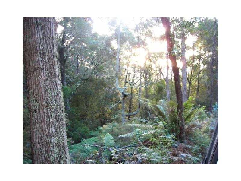 Irishtown Road, St Marys TAS 7215