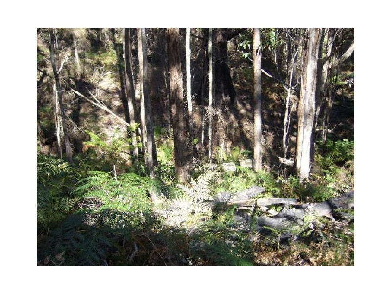 Irishtown Road, St Marys TAS 7215