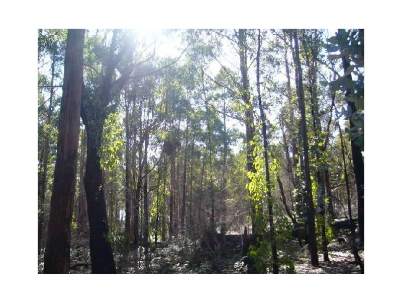 Irishtown Road, St Marys TAS 7215