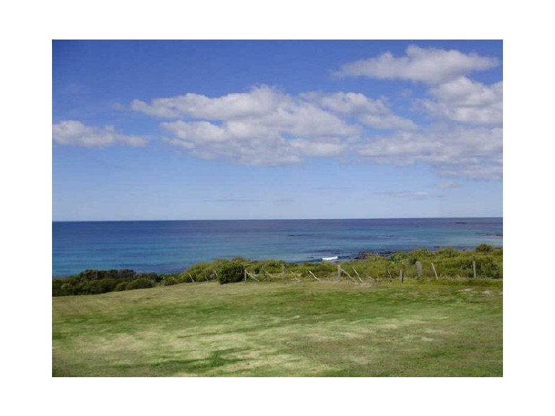 29 Morrison Street, Falmouth TAS 7215