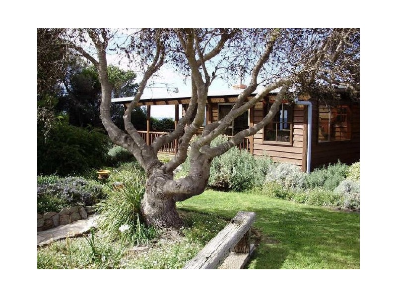 29 Morrison Street, Falmouth TAS 7215