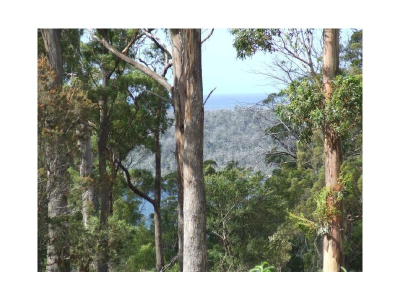 531 Binalong Bay Road, St Helens TAS 7216