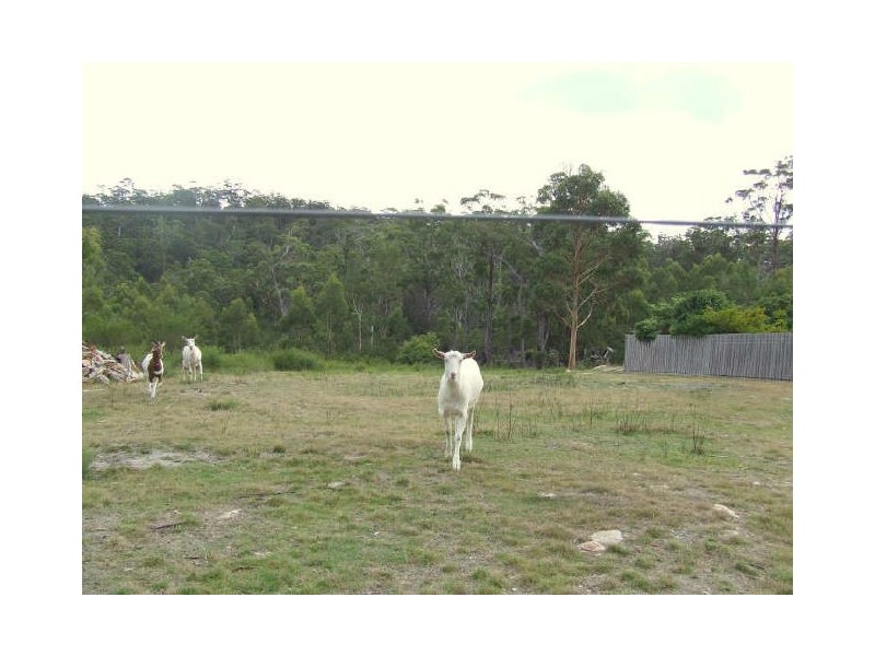 531 Binalong Bay Road, St Helens TAS 7216