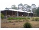558 Upper Scamander Road, Scamander TAS 7215