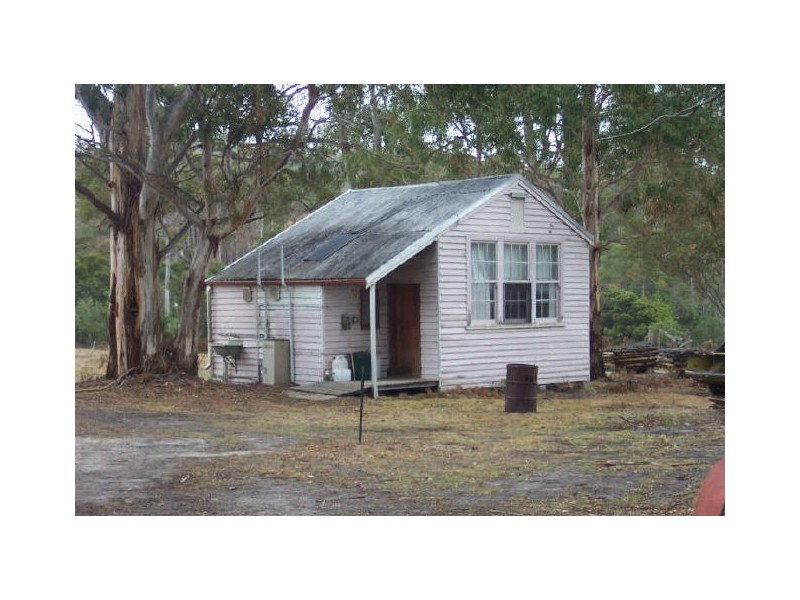 558 Upper Scamander Road, Scamander TAS 7215