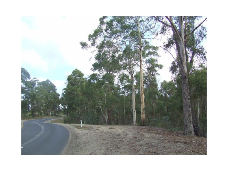 2 Tasman Highway, St Helens TAS 7216