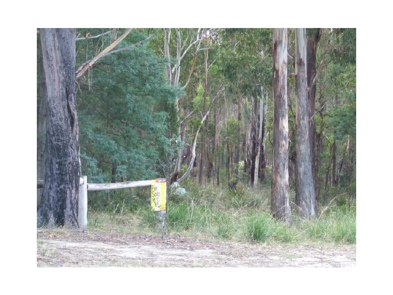 2 Tasman Highway, St Helens TAS 7216