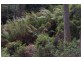 17252 Elephant Pass Road, Gray TAS 7215
