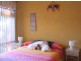 17252 Elephant Pass Road, Gray TAS 7215
