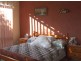 17252 Elephant Pass Road, Gray TAS 7215