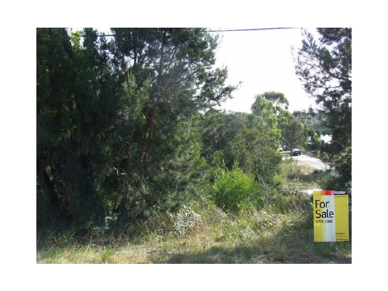 Lot 1/173 Binalong Bay Road, Binalong Bay TAS 7216