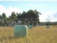 170 Binalong Bay Road, Binalong Bay TAS 7216