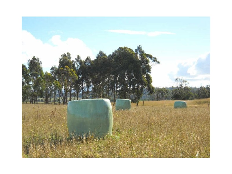 170 Binalong Bay Road, Binalong Bay TAS 7216