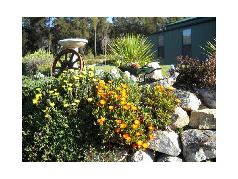 25824 Tasman Highway, St Helens TAS 7216