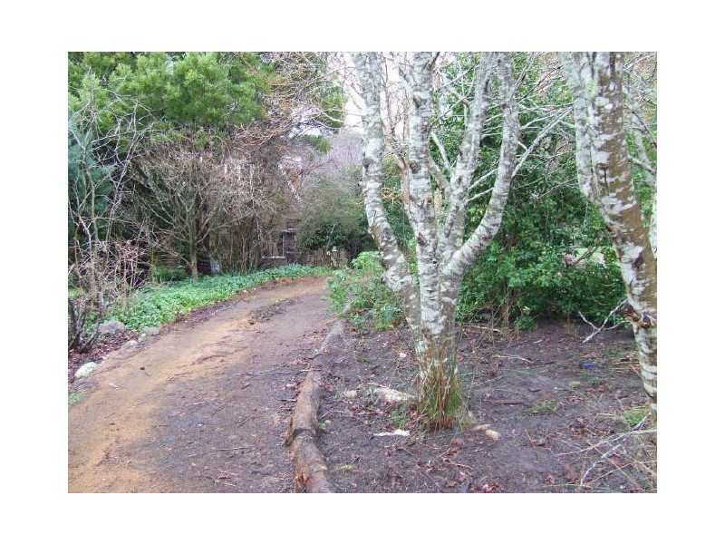 358 Terryvale Road, Goshen TAS 7216