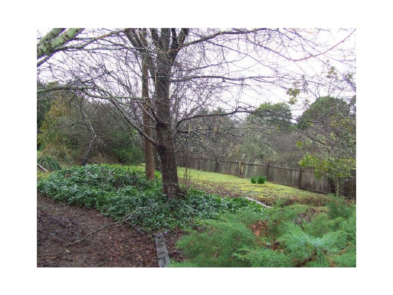 358 Terryvale Road, Goshen TAS 7216