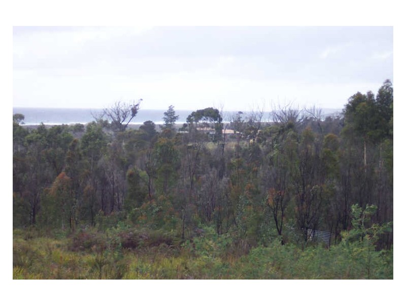 5 Albatross Grove, Scamander TAS 7215