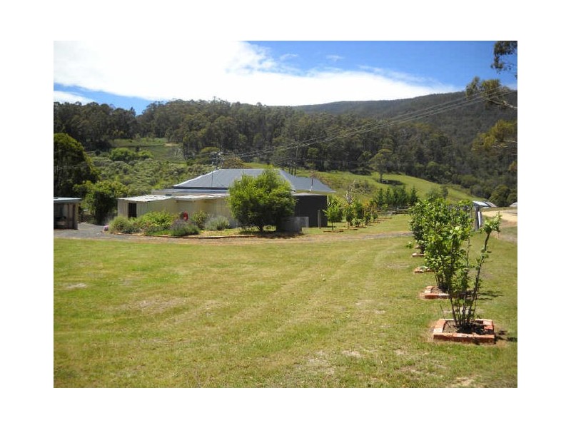 614 Elephant Pass Road, St Marys TAS 7215