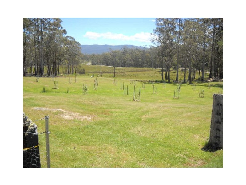 614 Elephant Pass Road, St Marys TAS 7215